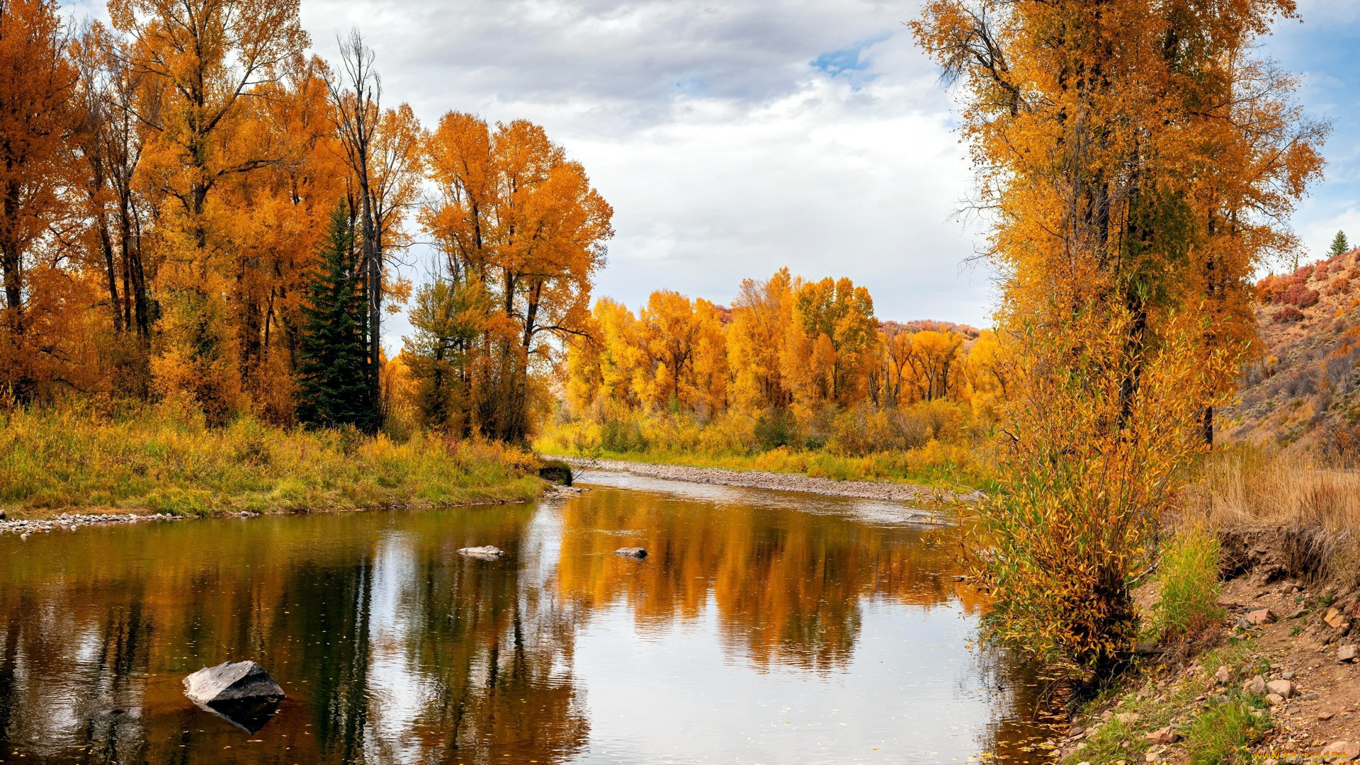 elk river, clark, colorado, , , , elk, river